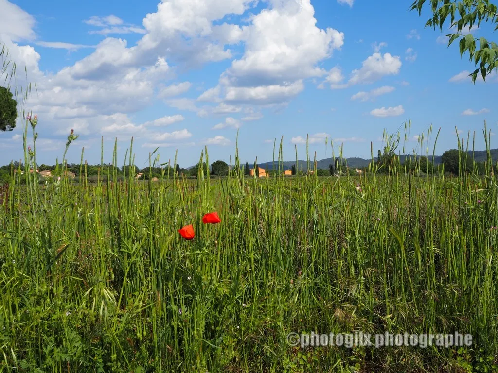 nature var