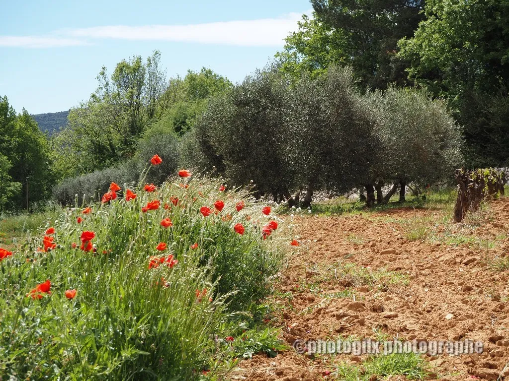nature var
