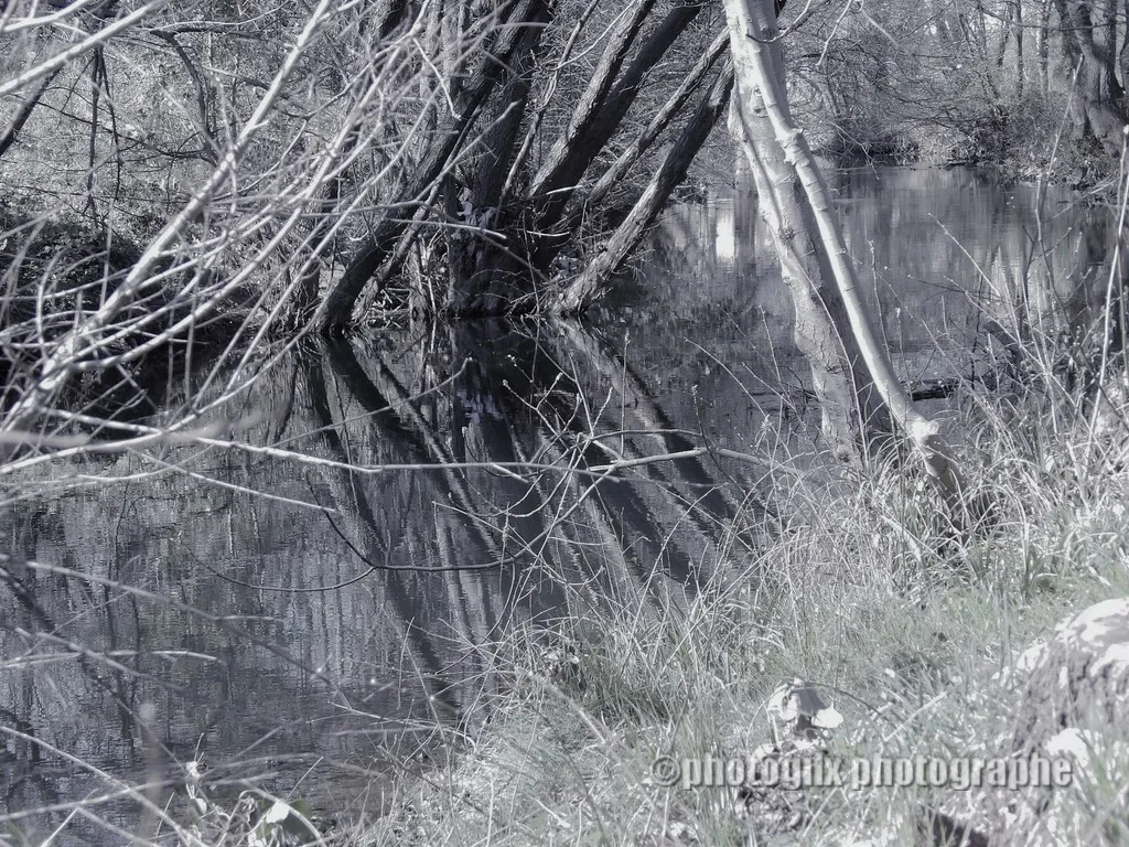 nature var